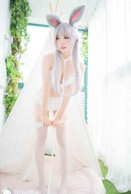 日韩精品第一-大结局全集在线观看