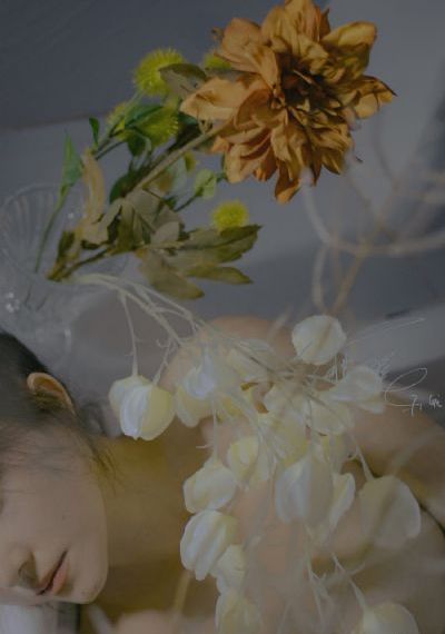 黄色三级理论片-手机影视在线观看高清